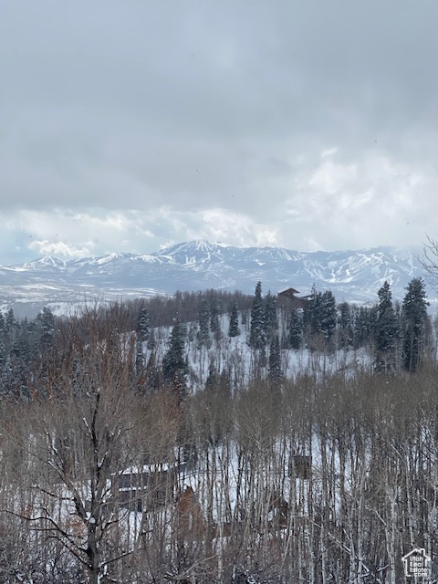 145 W Forest Meadow Rd #145, Coalville, Utah image 3