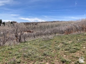 145 W Forest Meadow Rd #145, Coalville, Utah image 8