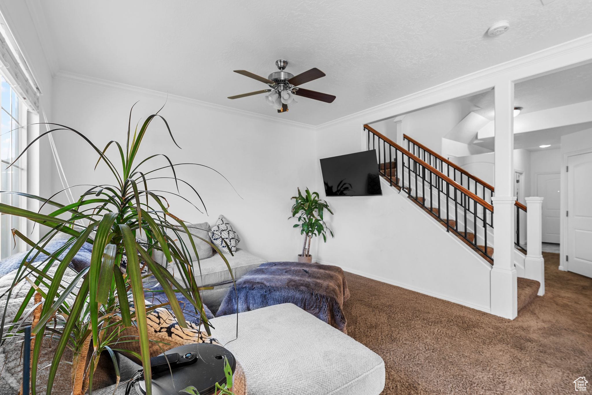 1167 W 1550 N