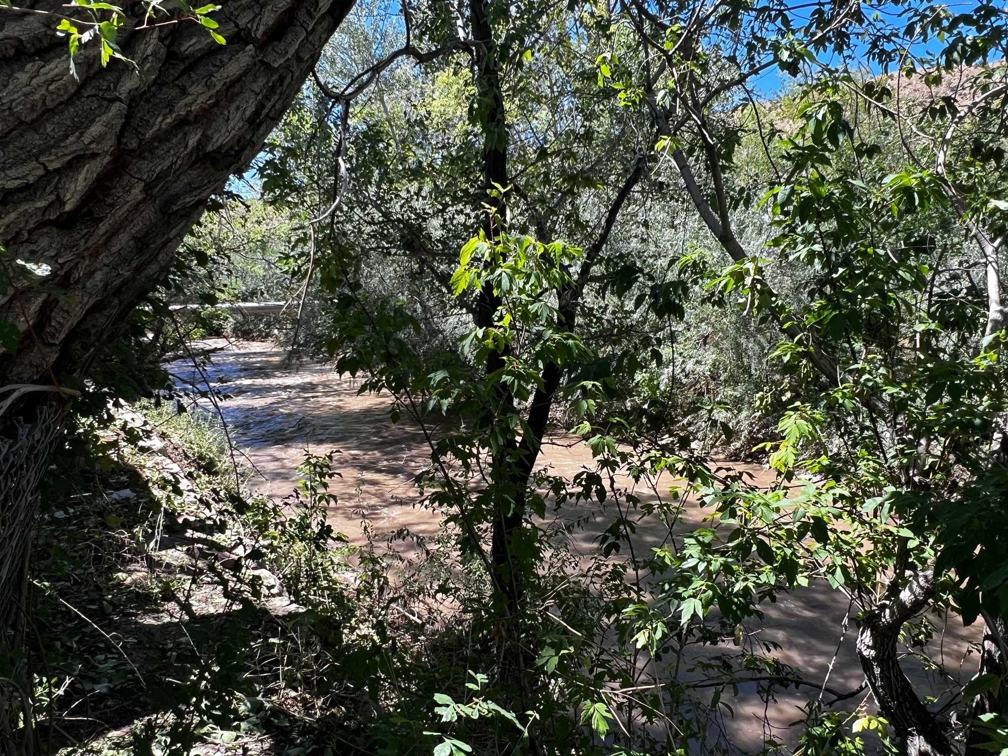 PRATTS SURVEY OF WEL - Residential