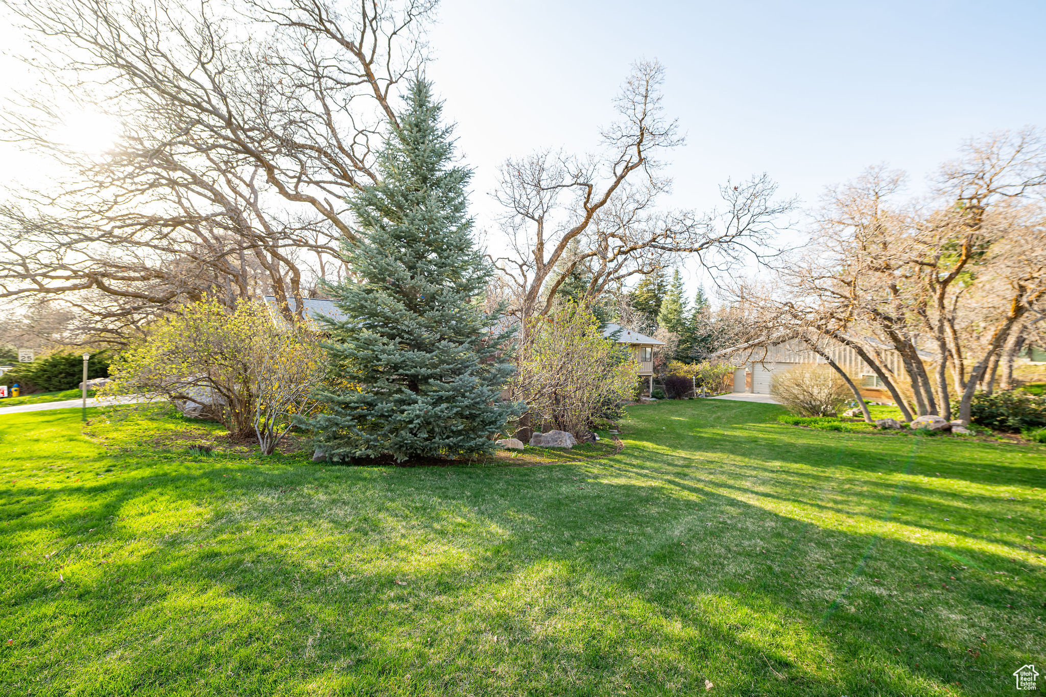1710 29th St #1710, Ogden, Utah image 42