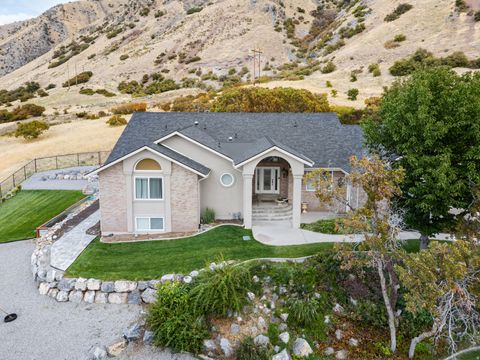 Tiny photo for 2080 SPRING OAKS DR, Springville, UT 84663 (MLS # 2135455)