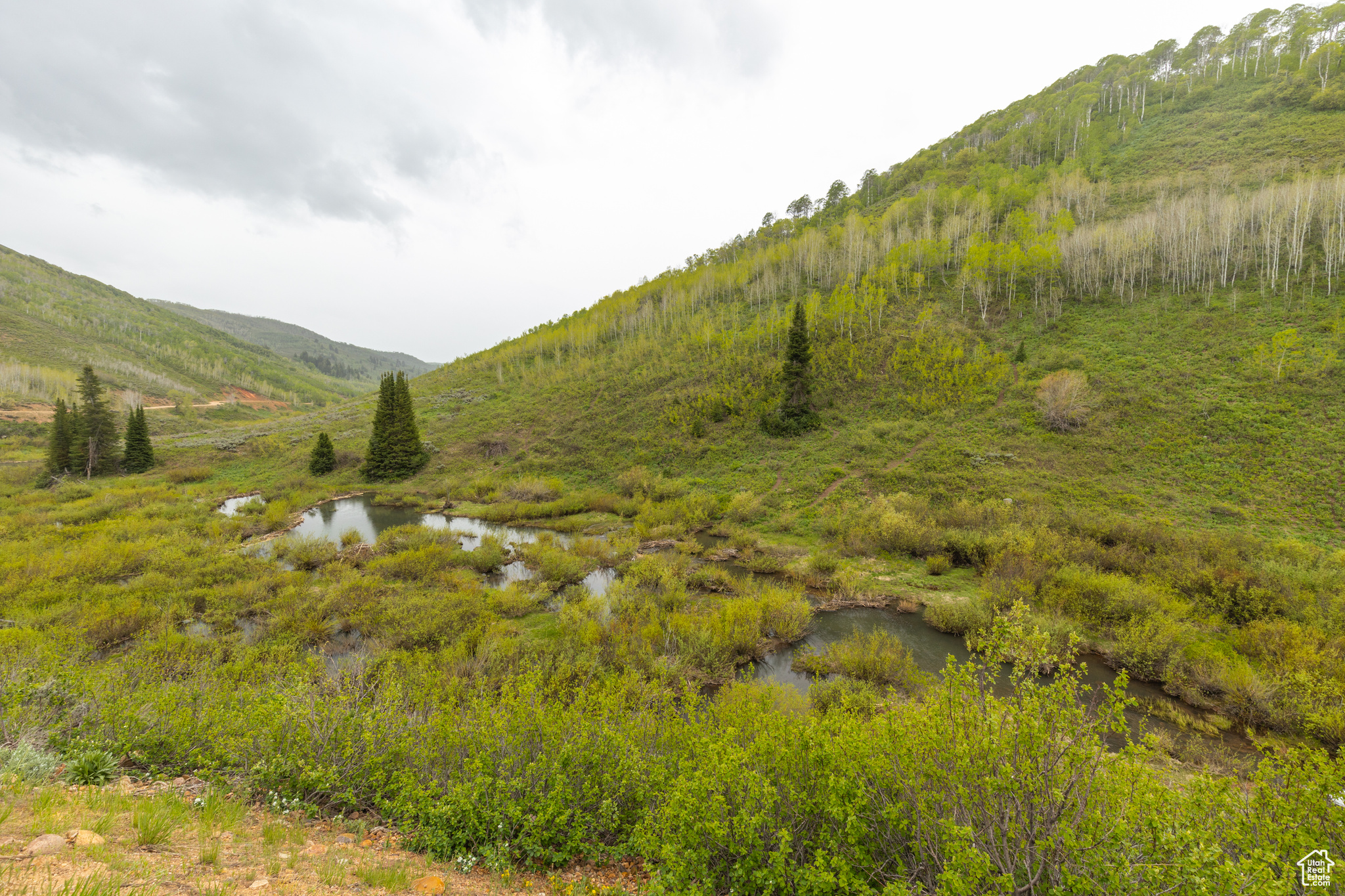 10758 E Miles Goodyear Dr #H 263, Huntsville, Utah image 17