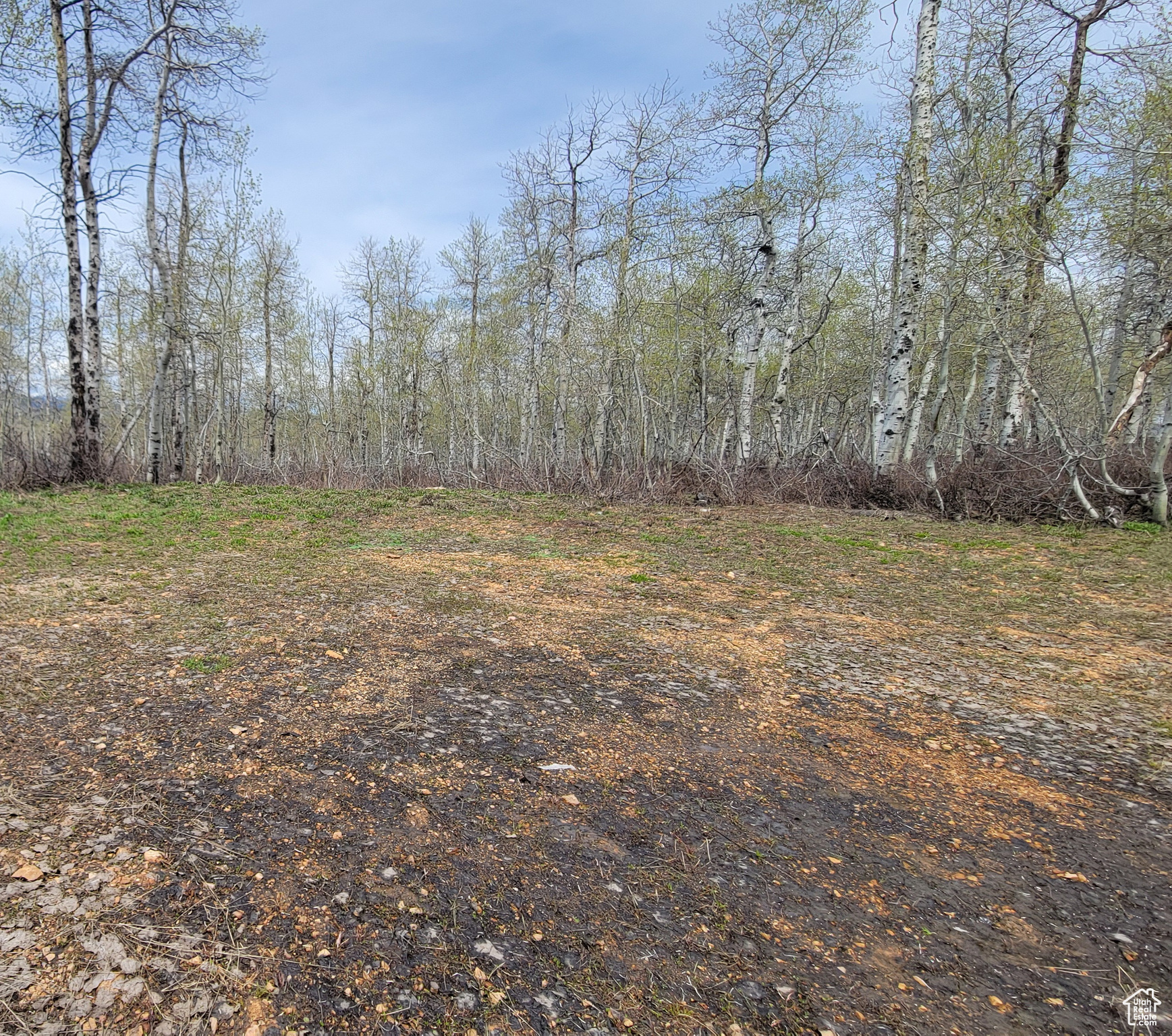 10758 E Miles Goodyear Dr #H 263, Huntsville, Utah image 8
