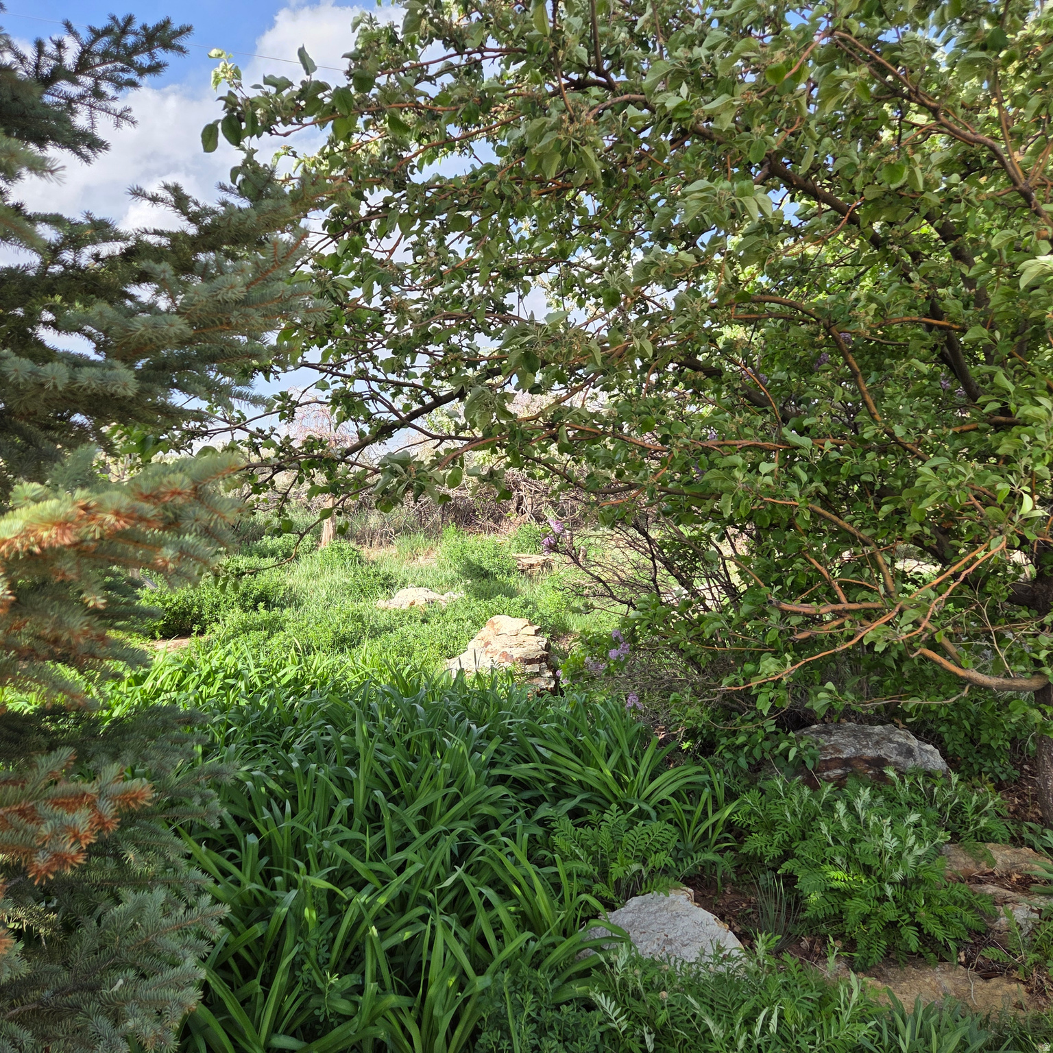 PIONEER ESTATES - Residential