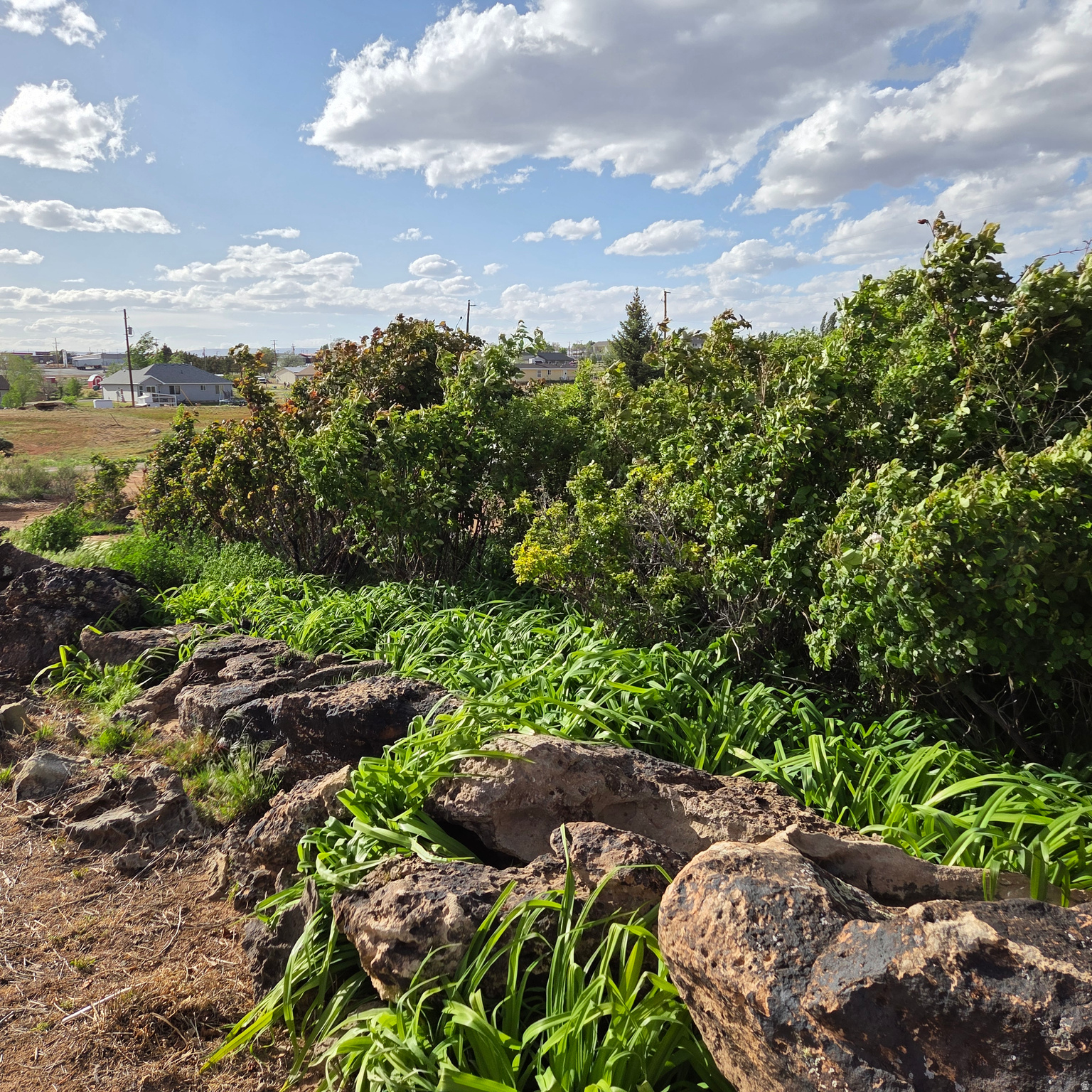 PIONEER ESTATES - Residential