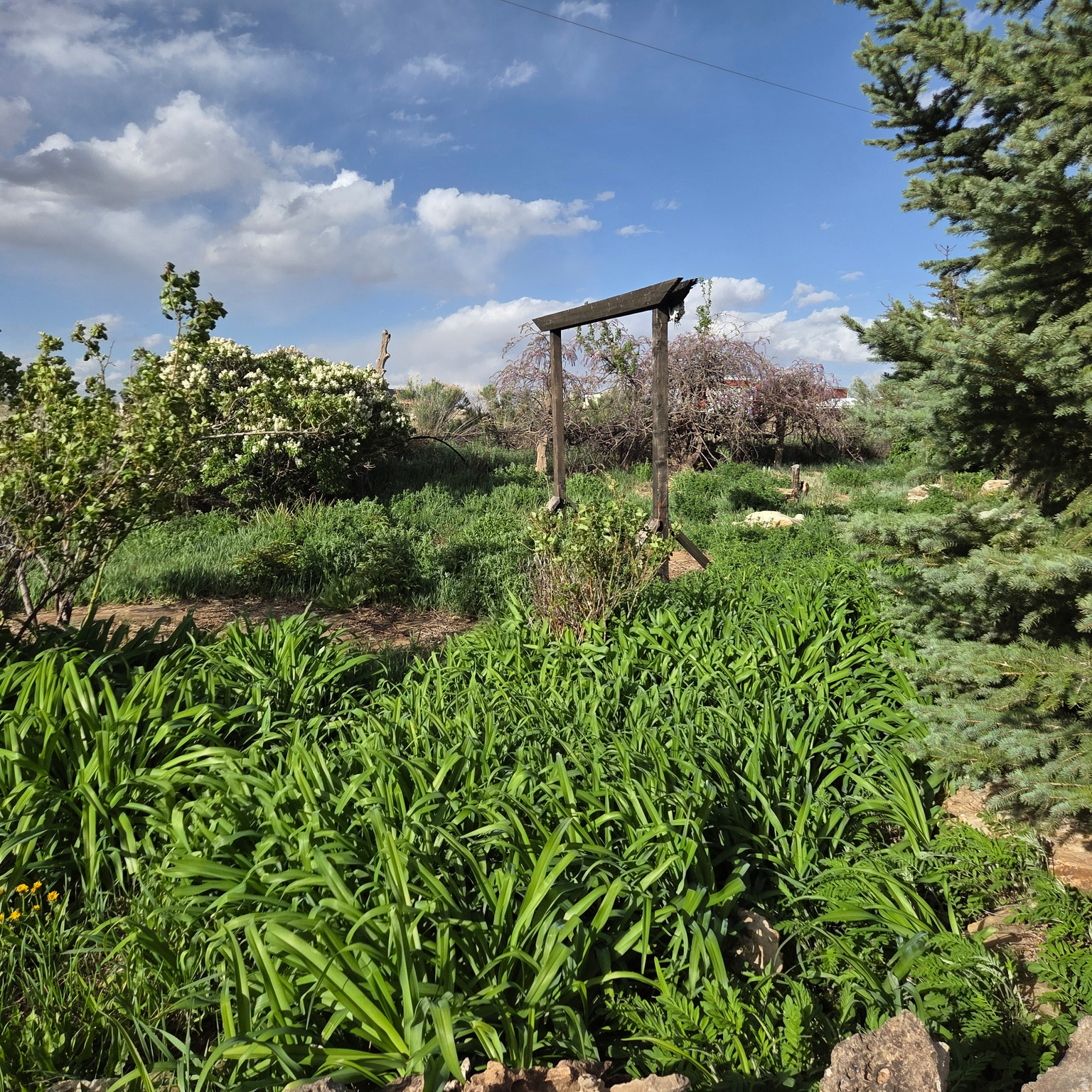 PIONEER ESTATES - Residential