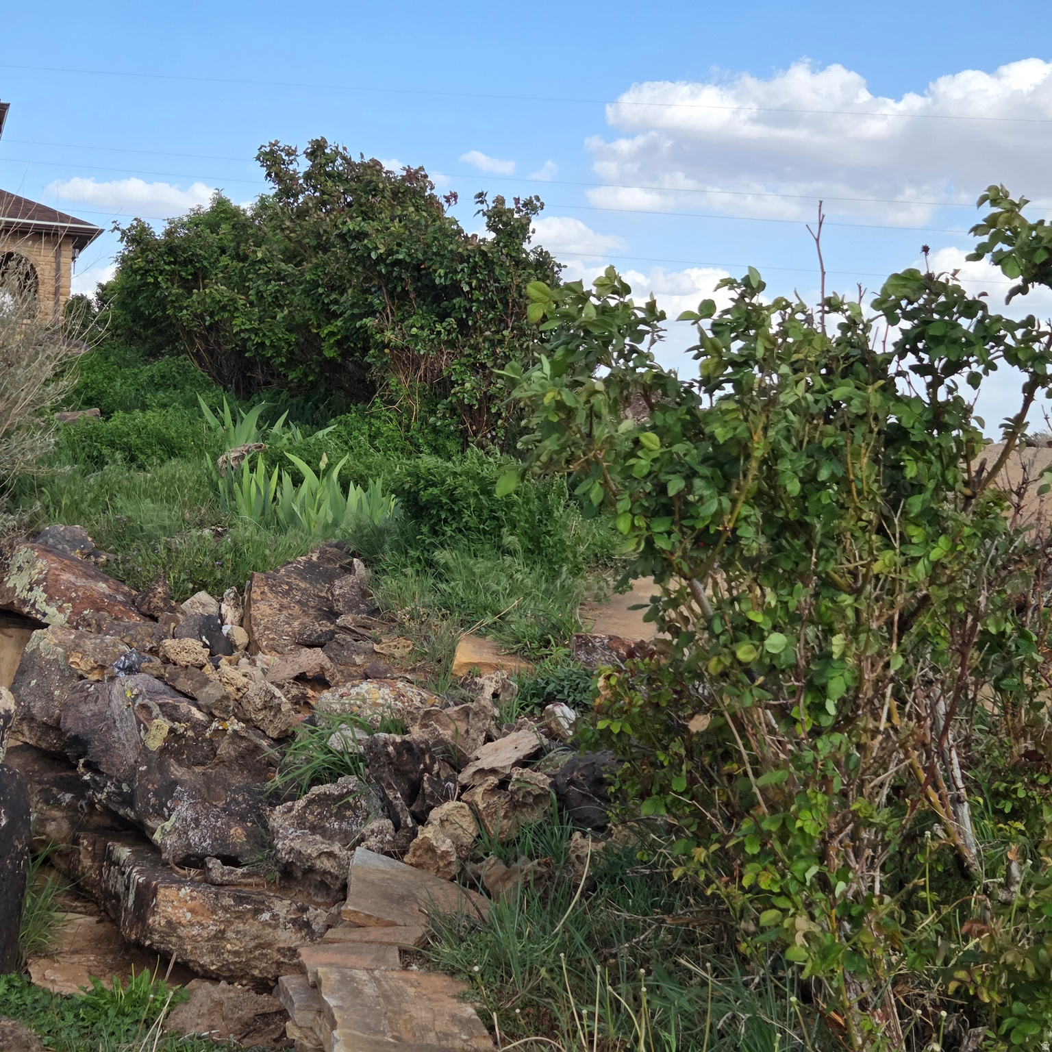 PIONEER ESTATES - Residential