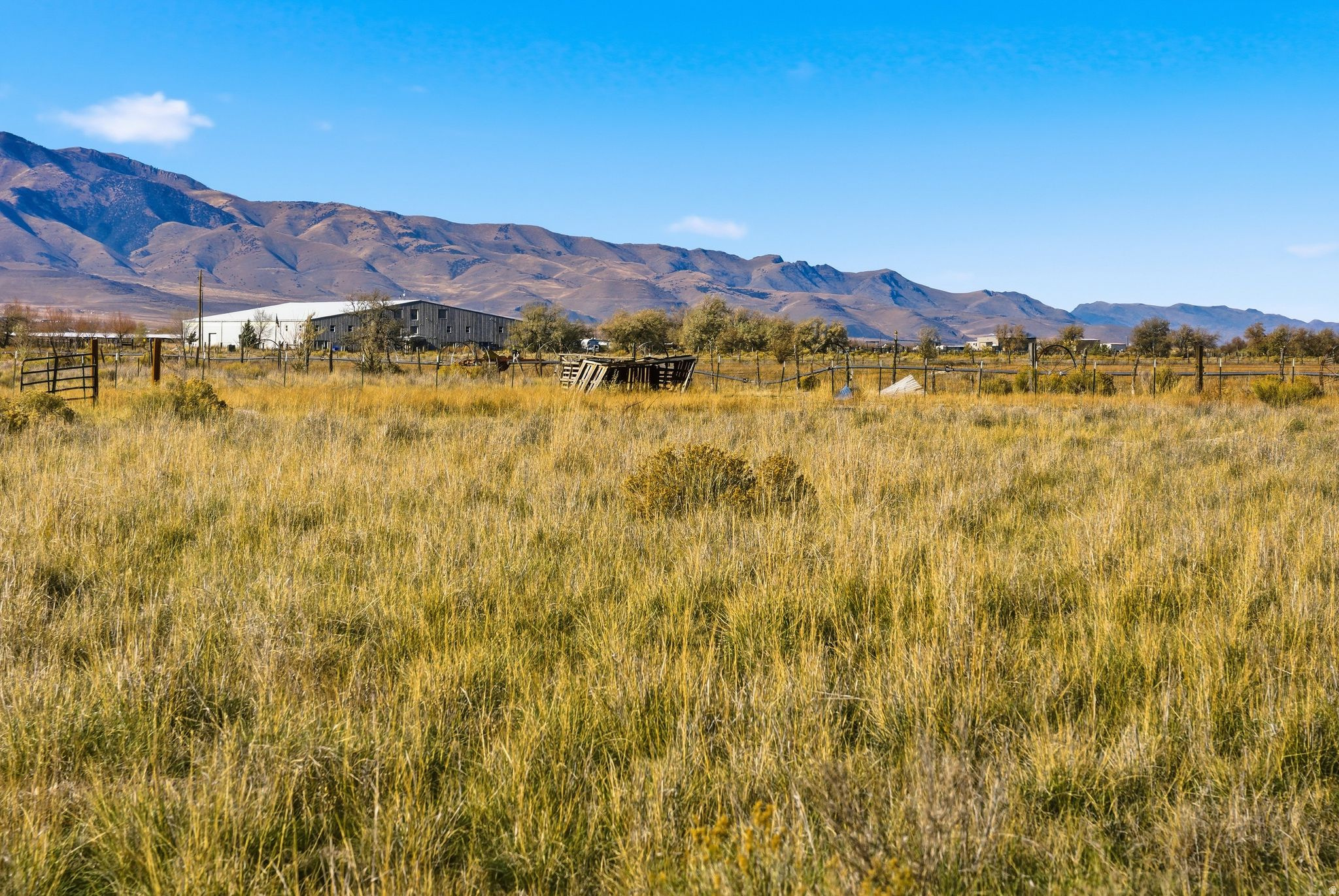 FALCONS LANDING - Land