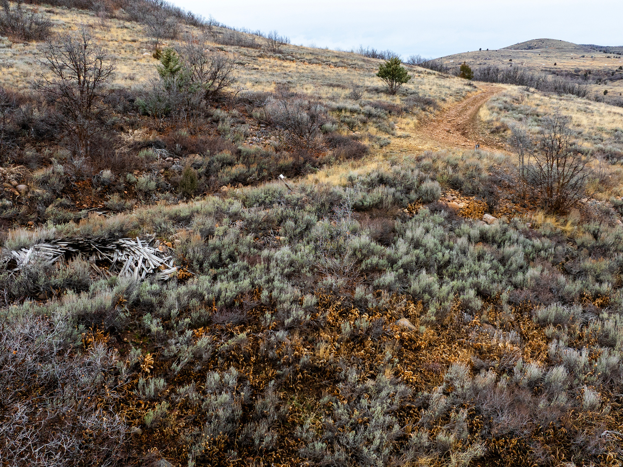 EVERGREEN PARK SUBDI - Land