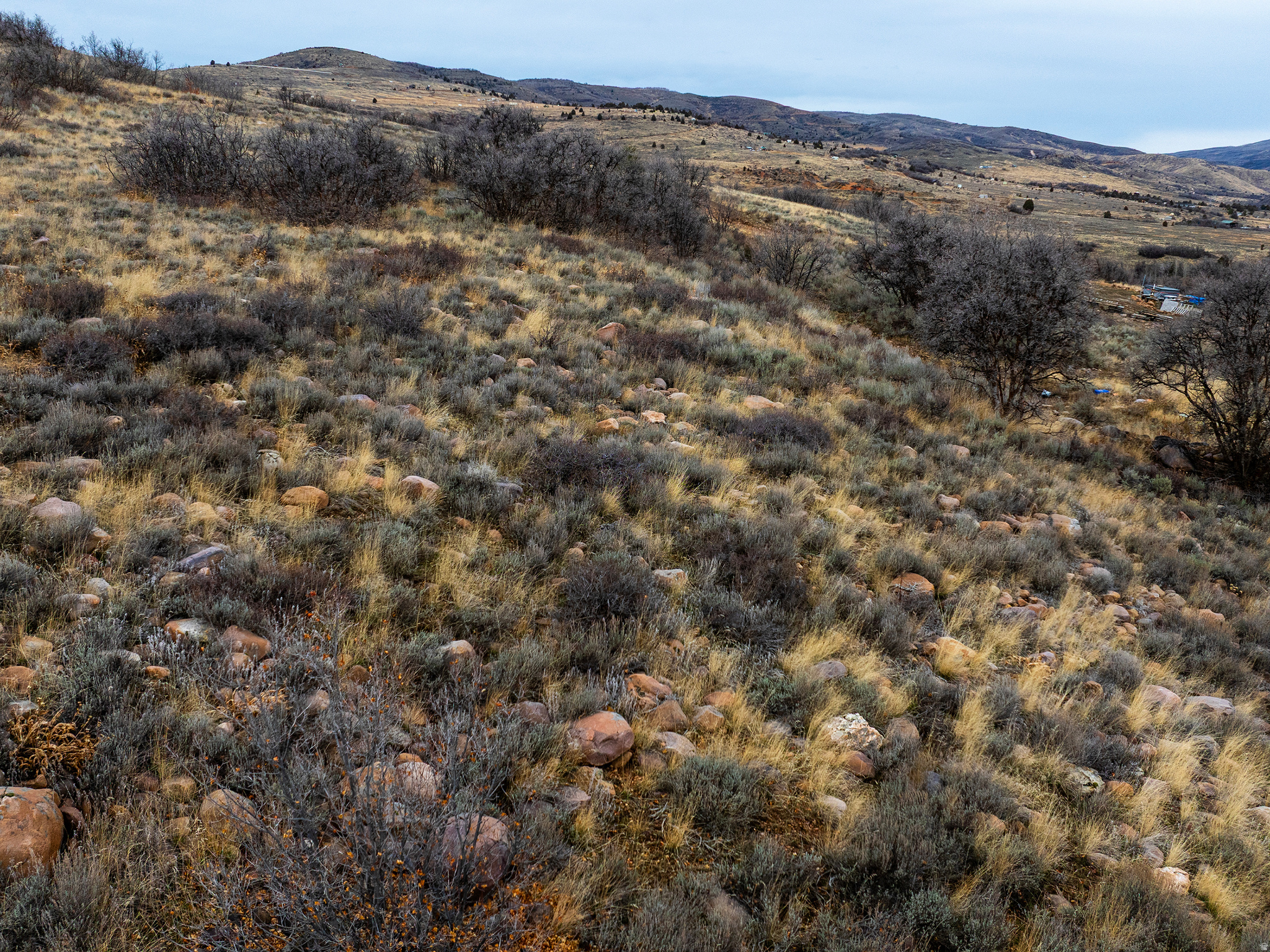 EVERGREEN PARK SUBDI - Land