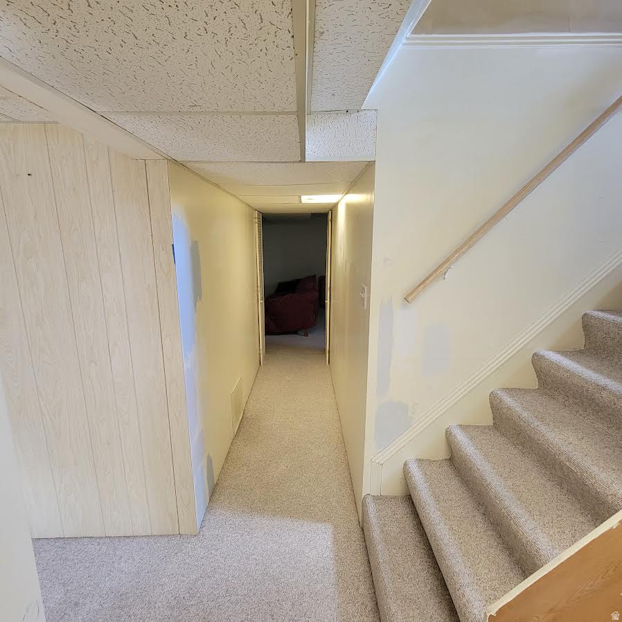 WHITE CIRCLE SUB - Residential