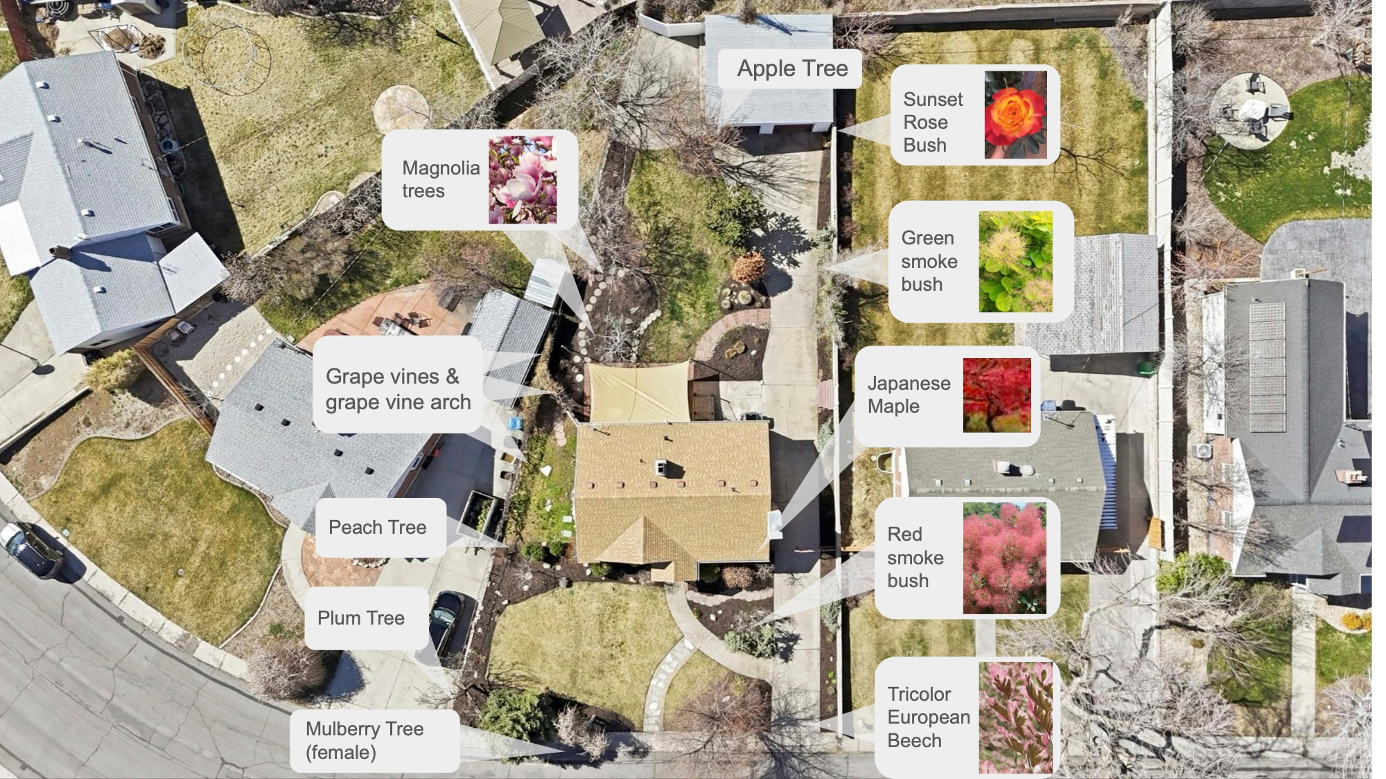 LAKEVIEW HEIGHTS AMD - Residential