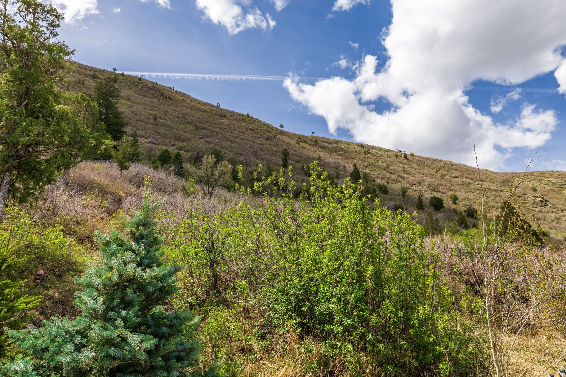 BEAVER CREEK AT KAMAS SUBDIVISION - Residential