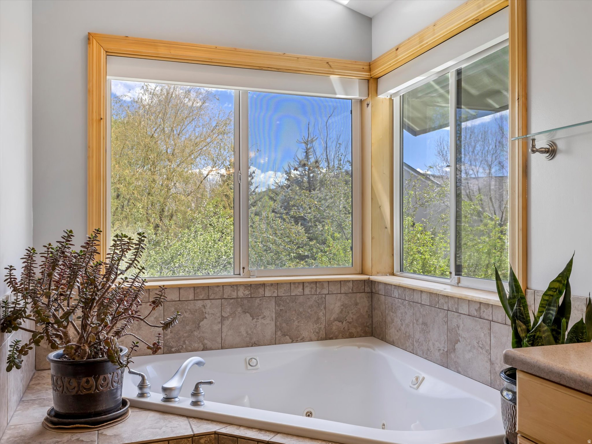SPRINGS SUBDIVISION - Residential