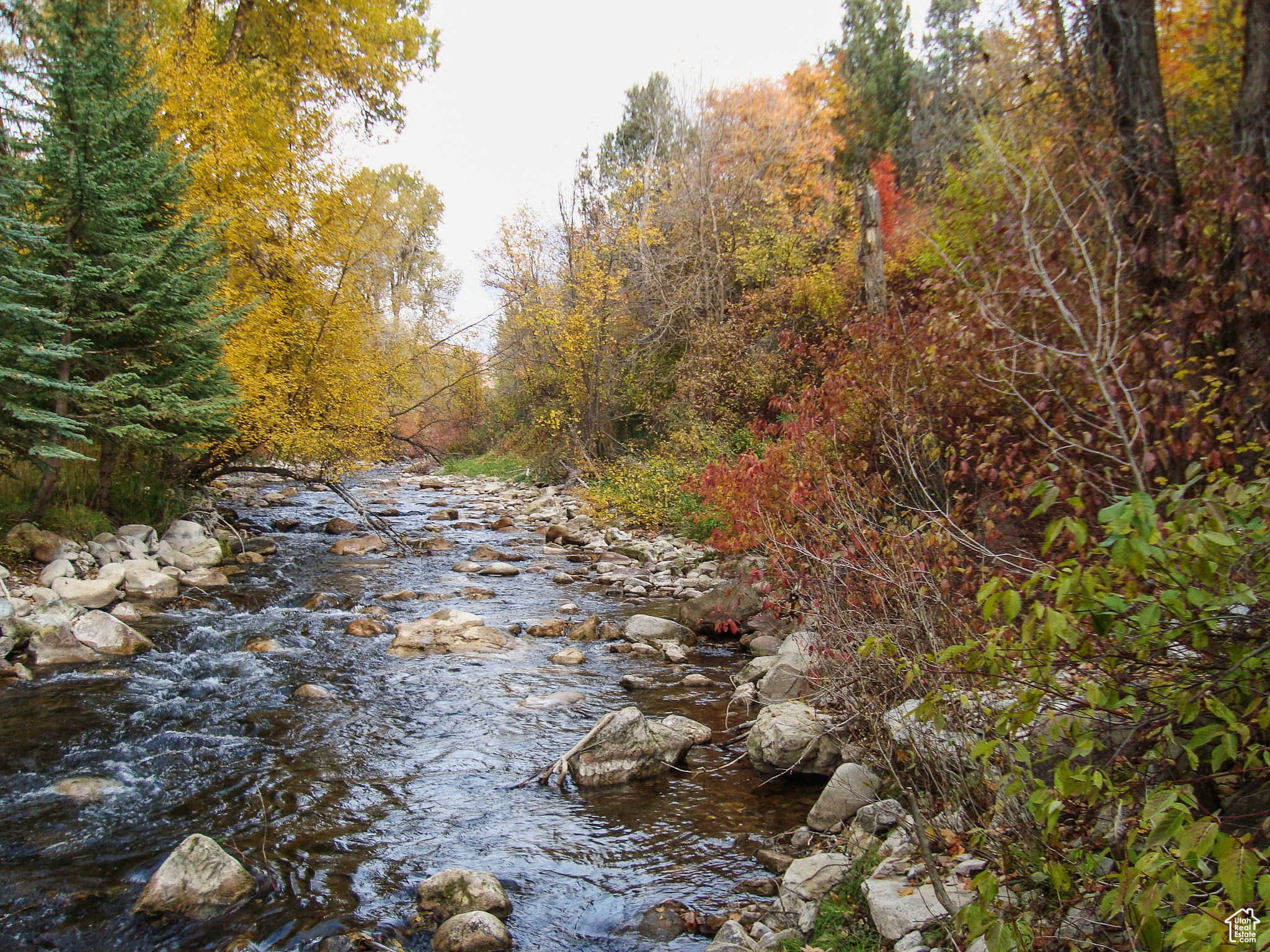 CUB RIVER ACRES SUB - Residential