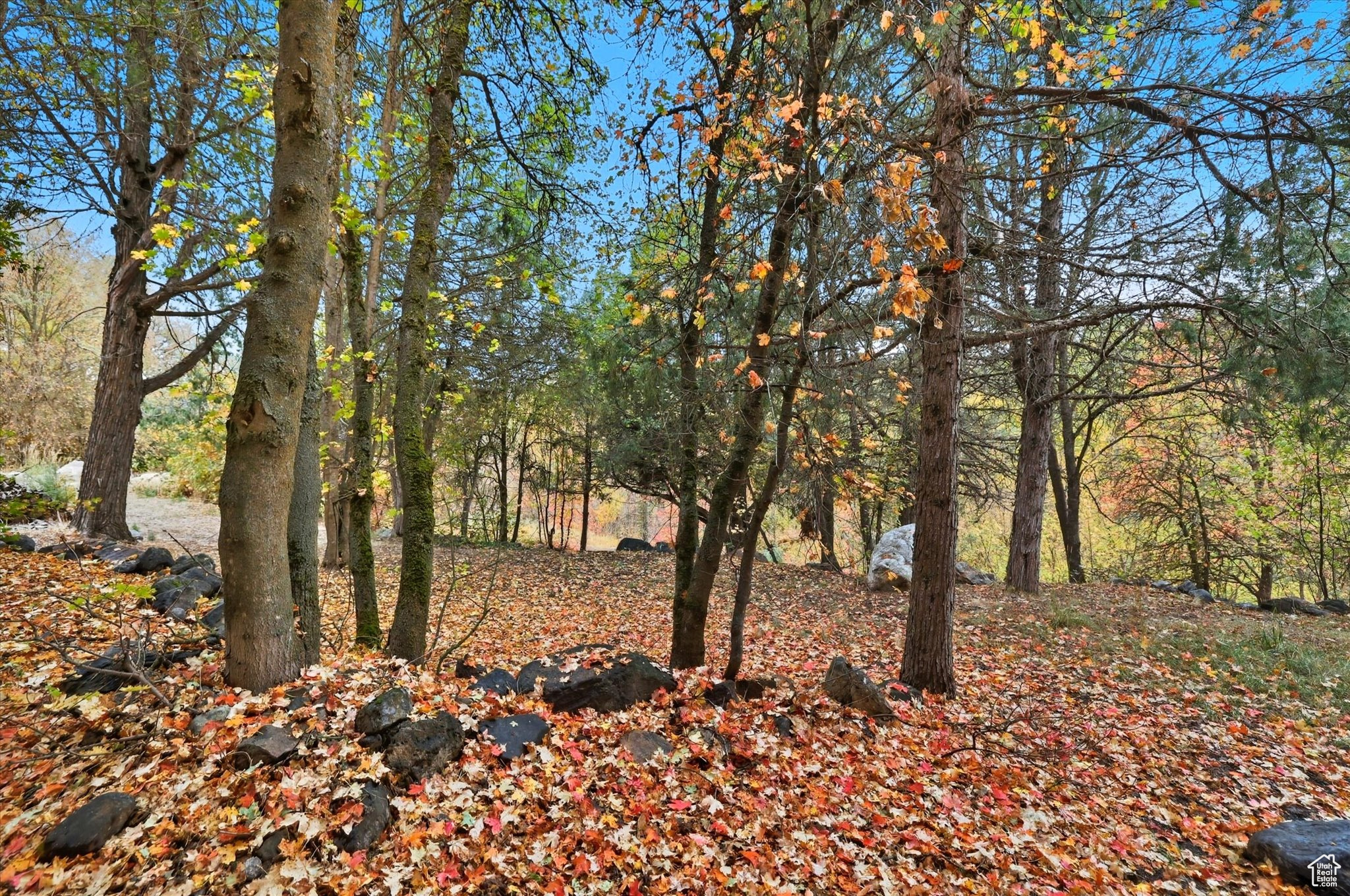 CUB RIVER ACRES SUB - Residential