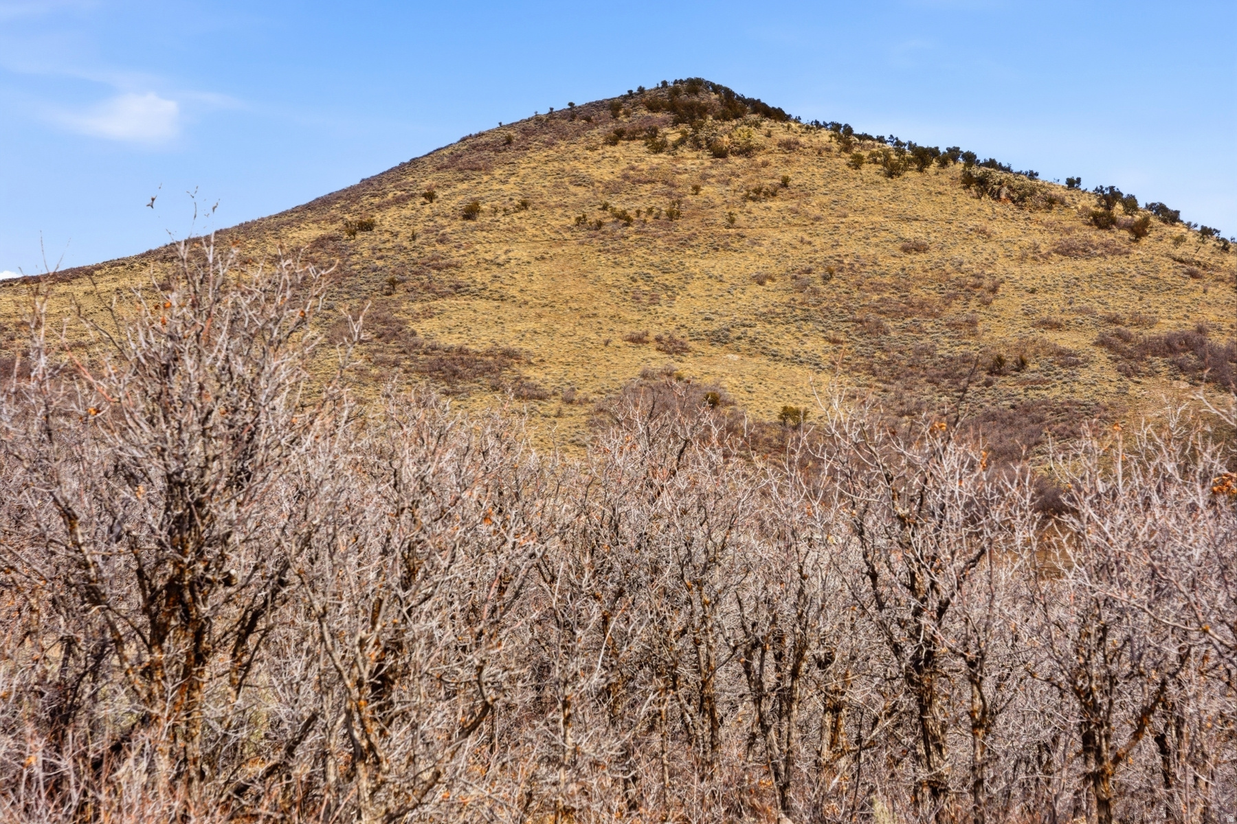 SKYRIDGE SUBDIVISION - Land