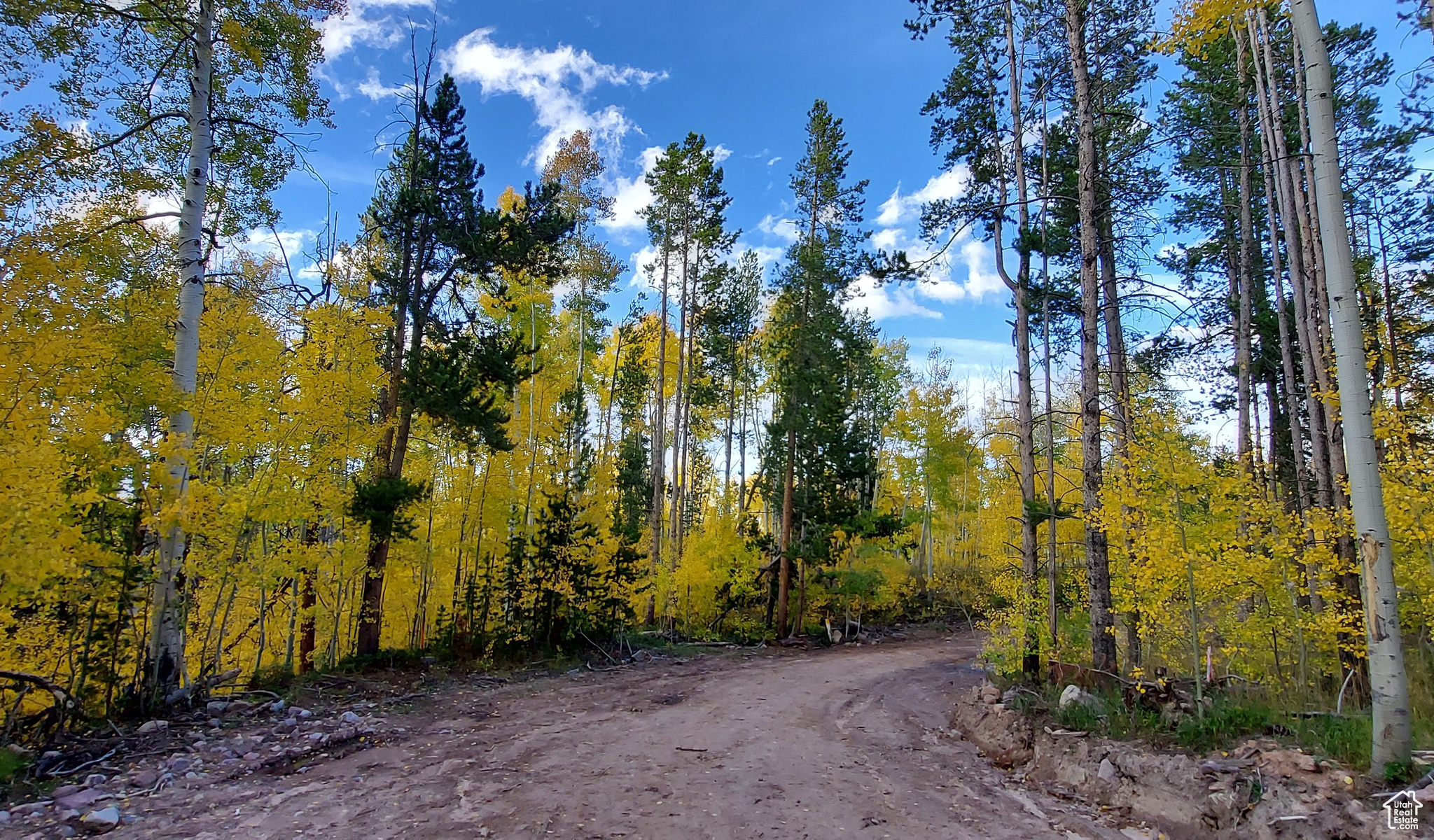 3036 Uinta Dr #74C, Kamas, Utah image 12