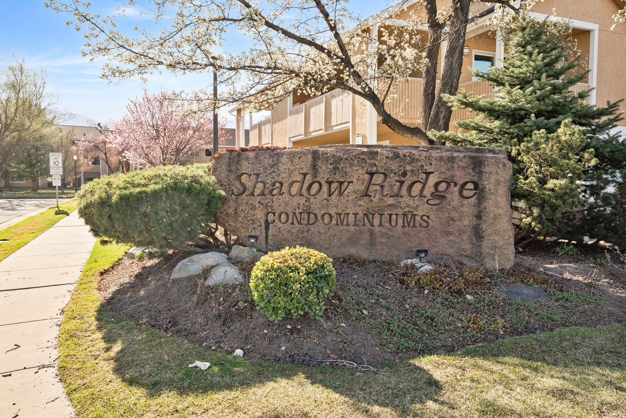 SHADOW RIDGE - Residential