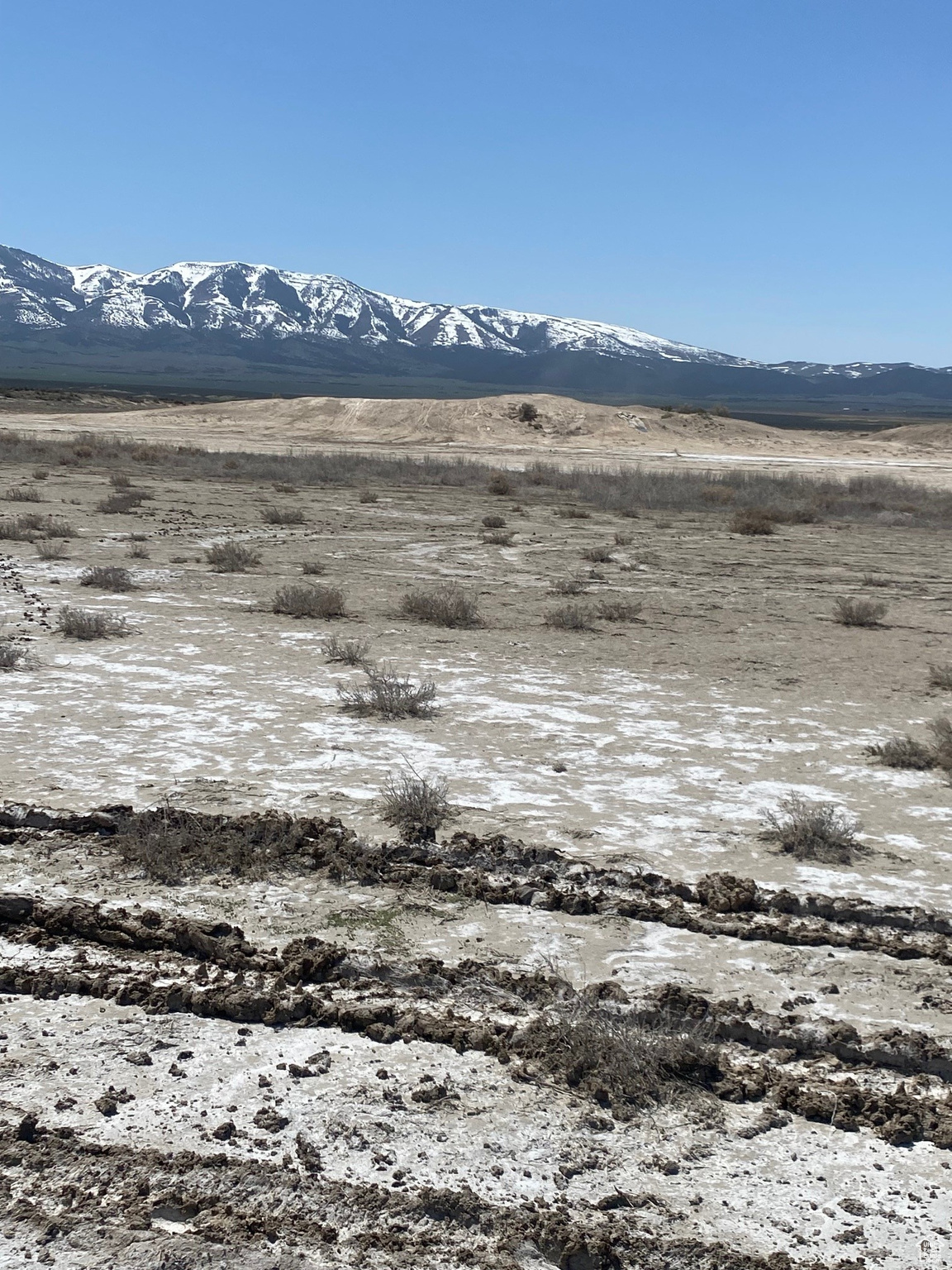 Land, Rush Valley, Utah image 10