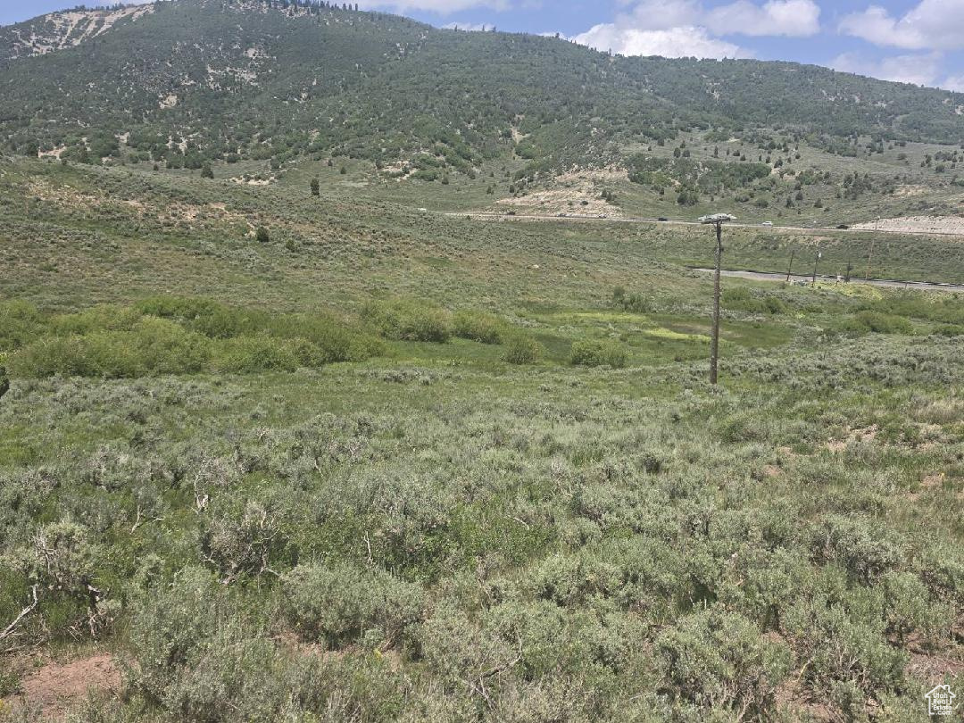 SOLDIER SUMMIT ESTATES - Land
