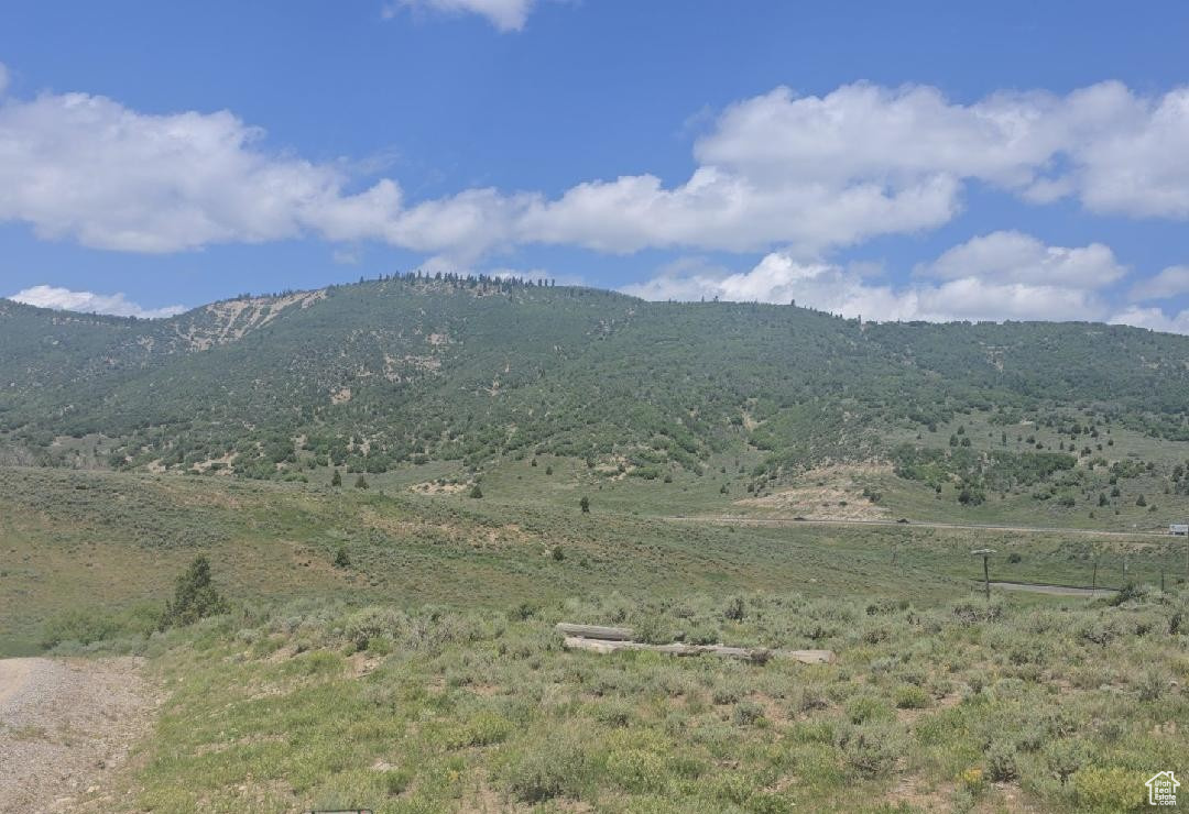 SOLDIER SUMMIT ESTATES - Land