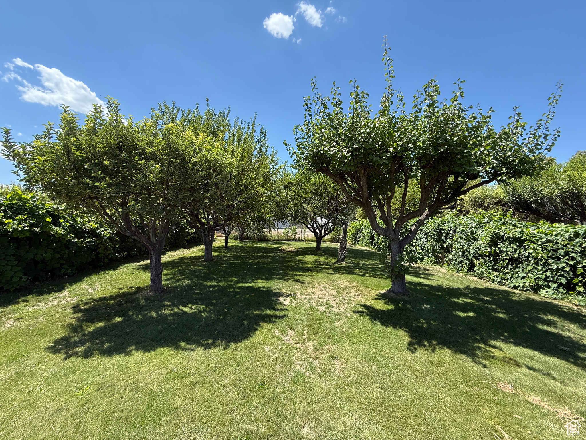 GROVER ESTATES #2 - Residential