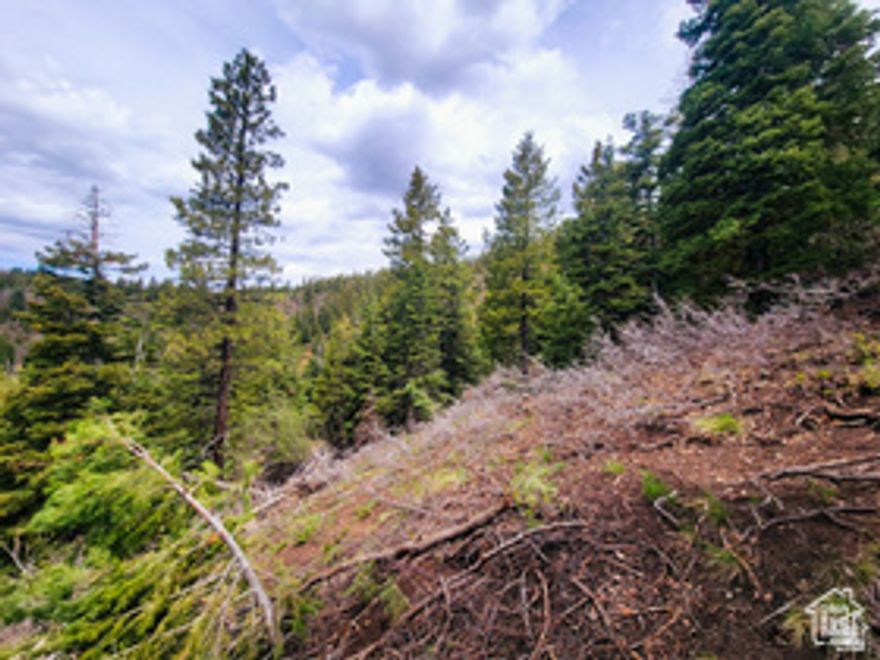 Claim your own 5-acre slice of Southern Utah's high-mountain wilderness. This remote property is blanketed with thick stands of pine, oak, and aspen, creating a peaceful forest setting ideal for those seeking solitude and outdoor recreation. Hunters, ATV riders, and adventure seekers will appreciate the wildlife-rich environment and the miles of nearby trails waiting to be explored.  Despite its quiet seclusion, the parcel sits only 25 miles from Duck Creek Village, offering convenient access to food, fuel, and seasonal services when needed. Access to the land is generally available from April through November, and the mountain terrain makes a 4-wheel-drive vehicle or ATV the best option for reaching the property.  Perfect as a backcountry getaway or a private mountain basecamp, this pristine high-elevation acreage delivers the untouched beauty and freedom that define Southern Utah. A rare opportunity to experience true mountain wilderness on your own terms. For directions to see the property, reach out to the agent, Caleb Howells.