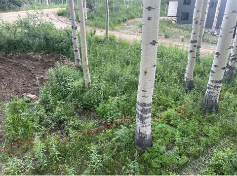 Tiny photo for 4410 FAWN WAY #2038, Heber City, UT 84032 (MLS # 2145867)