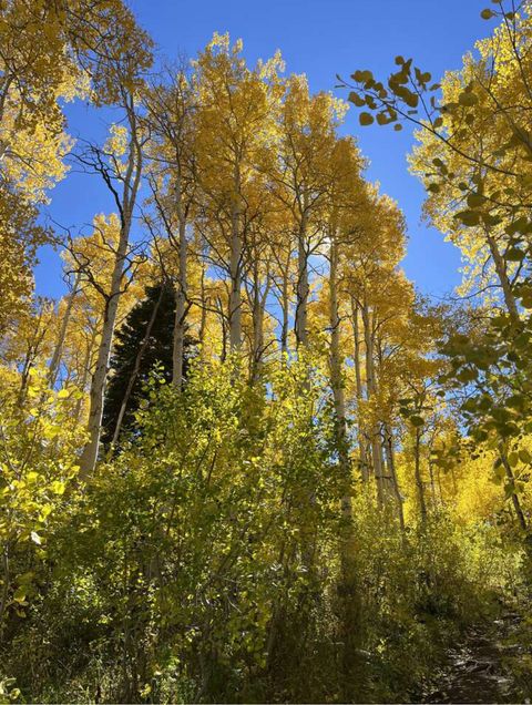 Tiny photo for 4410 FAWN WAY #2038, Heber City, UT 84032 (MLS # 2145867)