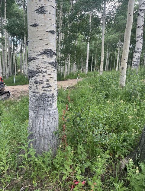 Tiny photo for 4410 FAWN WAY #2038, Heber City, UT 84032 (MLS # 2145867)