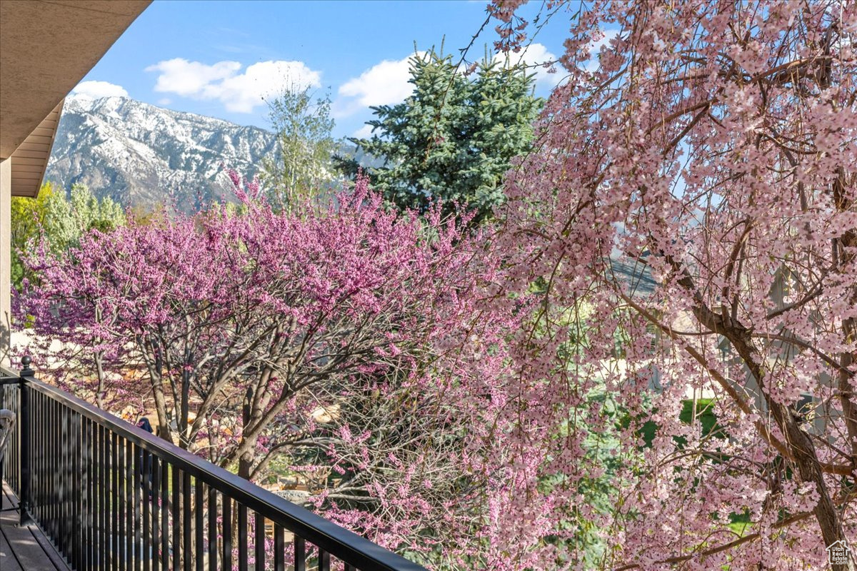 2010 E Rocklin Dr, Sandy, Utah image 48