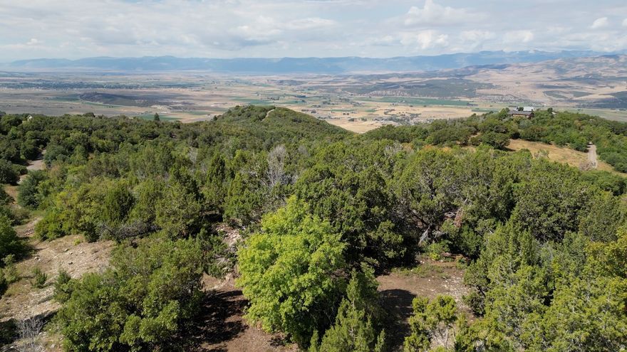 Located in The Hollows at Legacy Mountain, Lot 62 offers a rare blend of privacy, views, and mountain living just minutes above Fairview. This homesite captures expansive valley views stretching toward Mt. Nebo, while still backing to rolling mountain terrain and open space that keeps the setting quiet and natural. The lot is spacious enough to provide multiple building options. Wildlife is abundant throughout the community, with deer, elk, and birds of prey frequently seen from the property. Legacy Mountain is known for its dark skies, clean air, and peaceful atmosphere, making Lot 62 an ideal canvas for those seeking both connection to nature and proximity to amenities in Fairview and the Hwy-89 corridor. Want a larger piece of the mountain? The adjacent lot 59 next door is also for sale MLS#2108620. Buyer to verify all info.