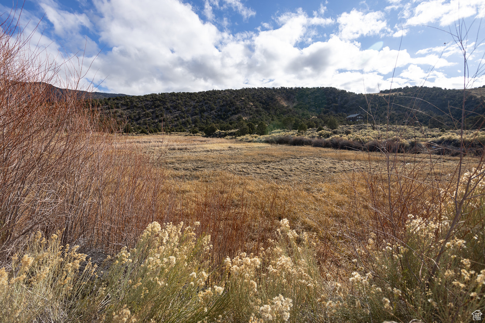 #303, Antimony, Utah image 9