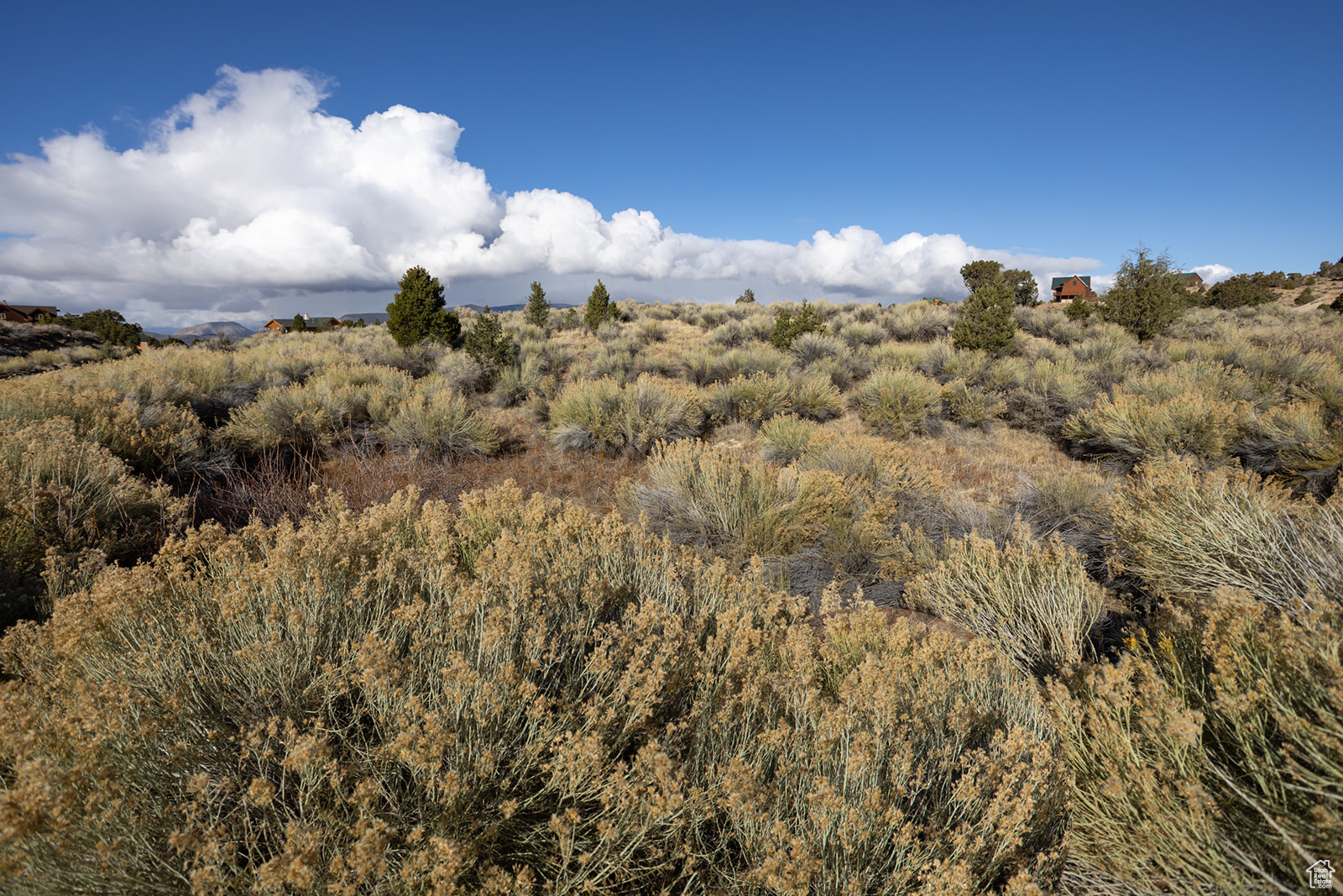 #303, Antimony, Utah image 4