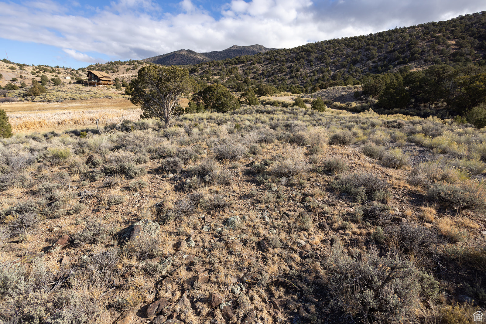 #303, Antimony, Utah image 18