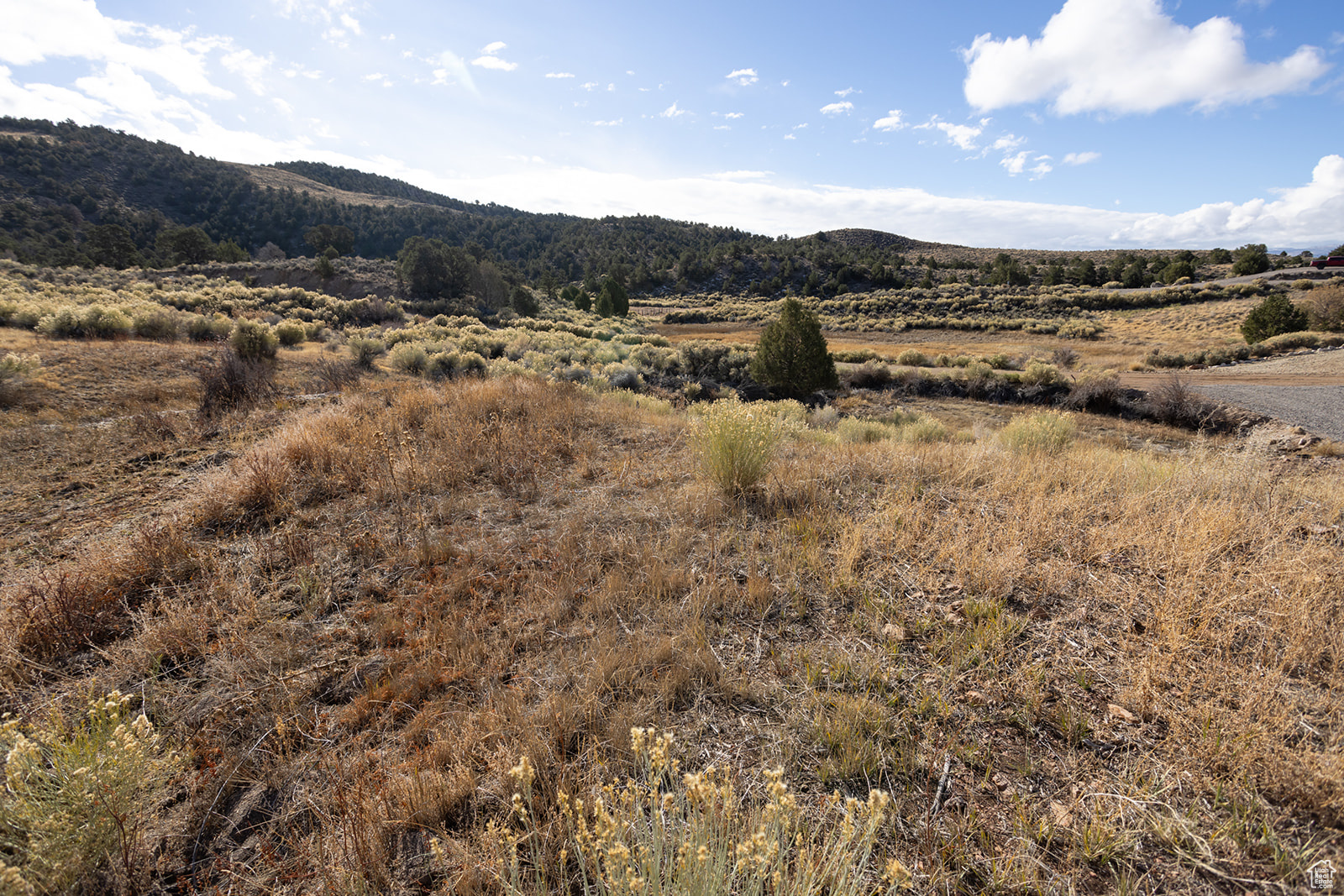 #303, Antimony, Utah image 10