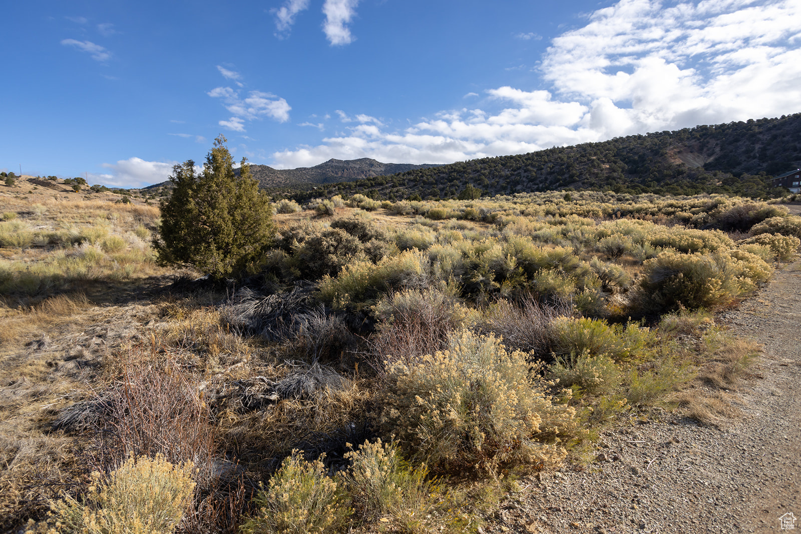#303, Antimony, Utah image 3