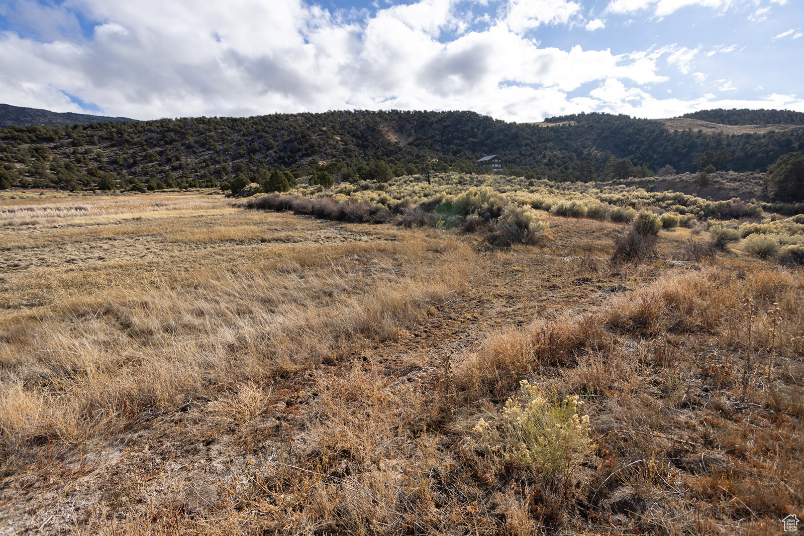 #303, Antimony, Utah image 11