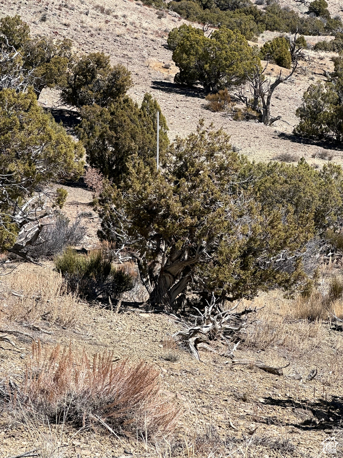 22432 W 1350, Duchesne, Utah image 28