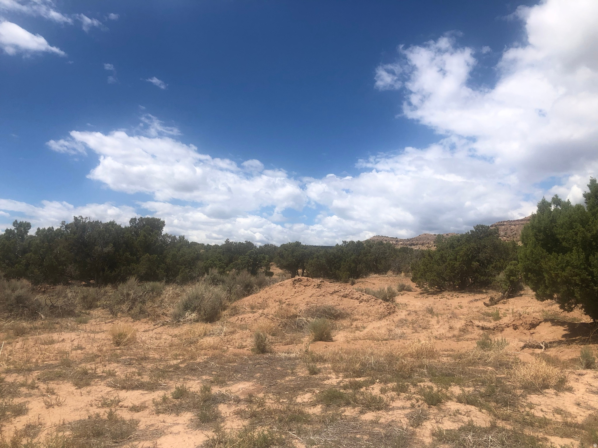 CEDAR VIEW PRPTIES - Land