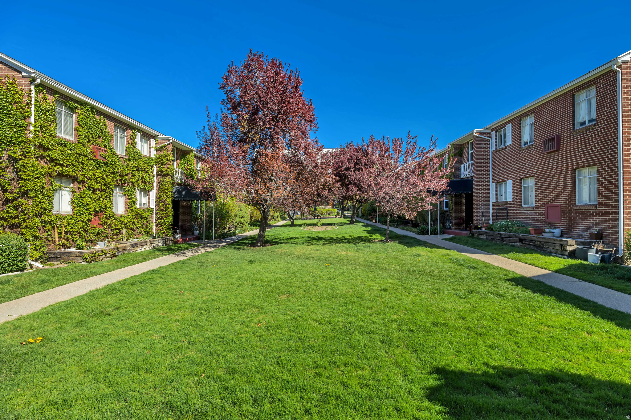 IVY TERRACE - Residential