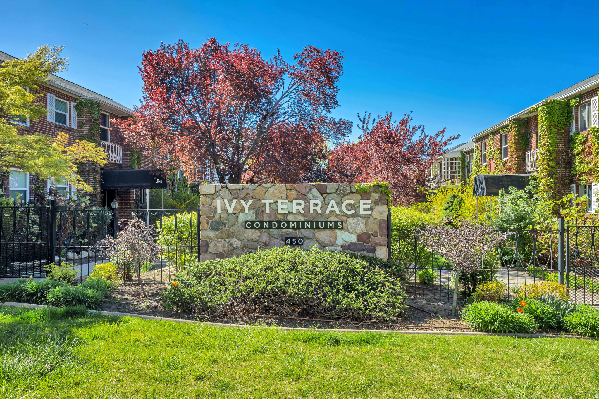 IVY TERRACE - Residential