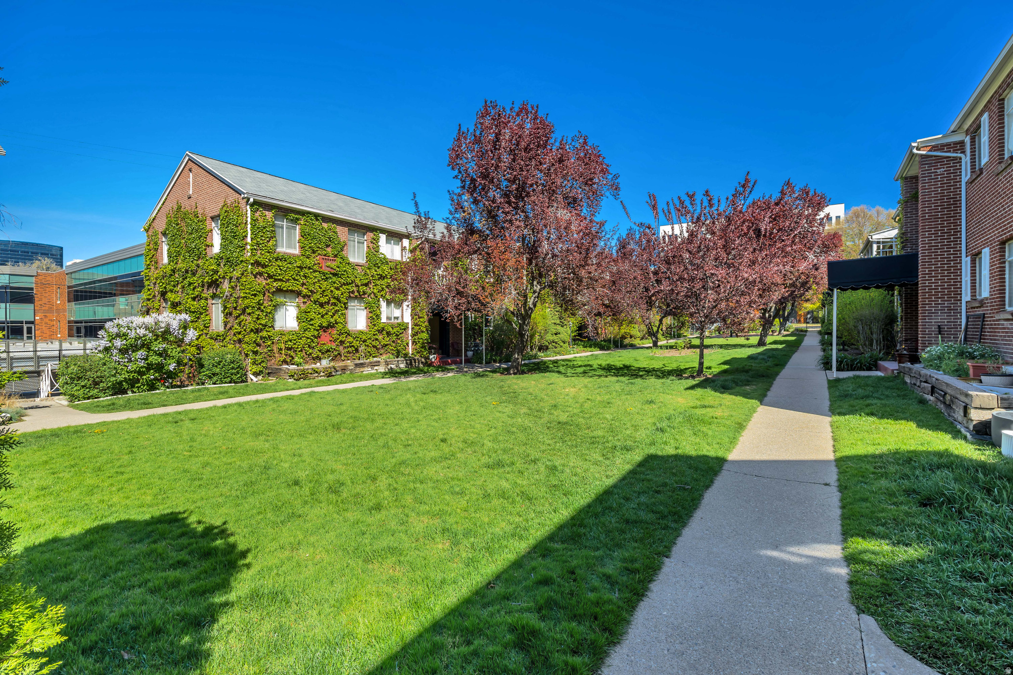 IVY TERRACE - Residential