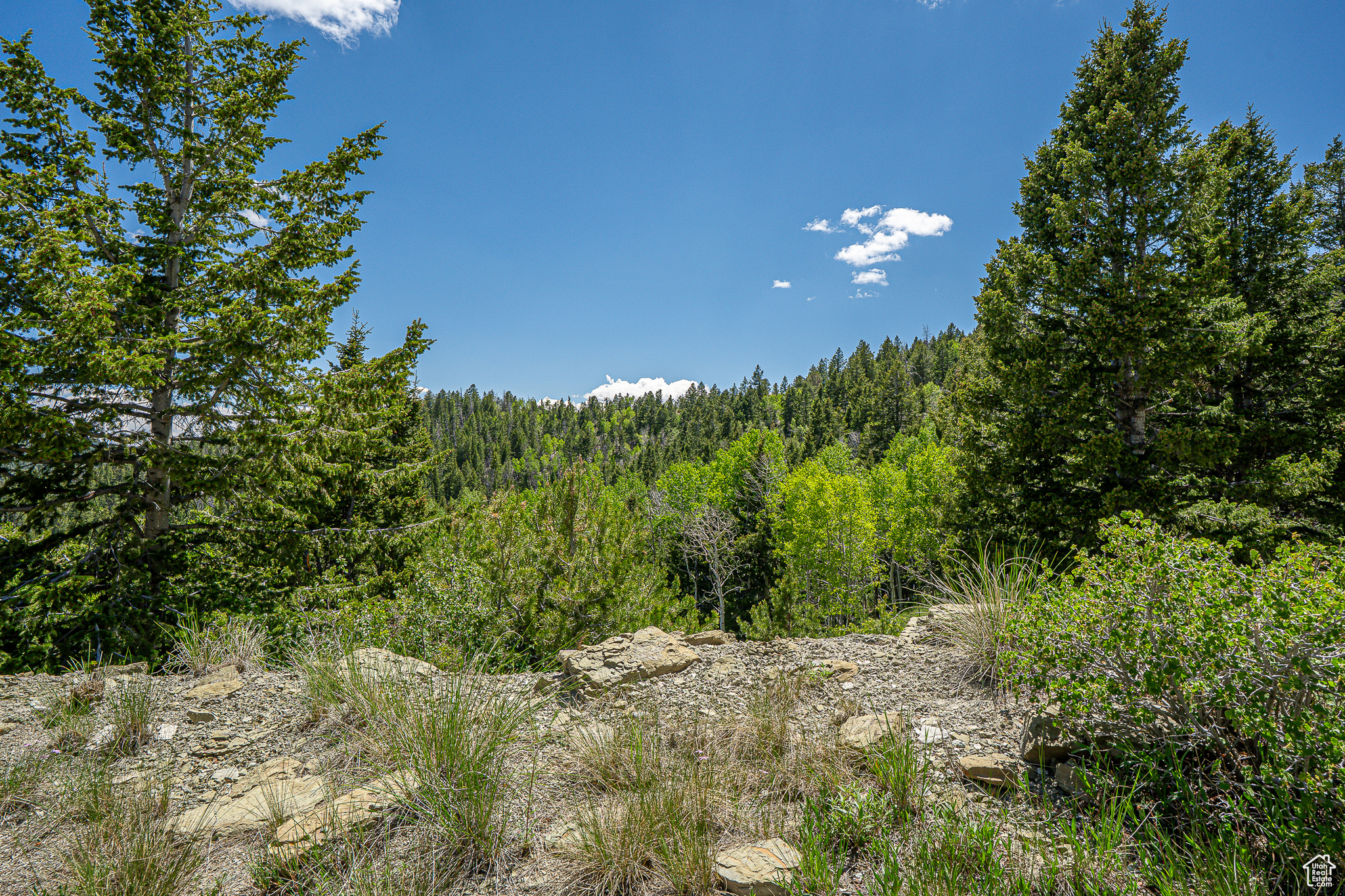 Land, Duchesne, Utah image 1