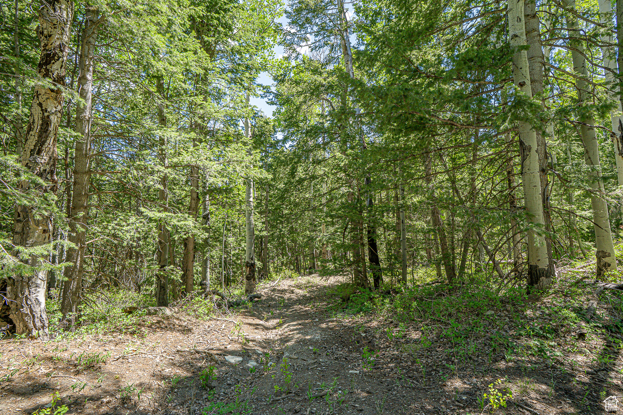 Land, Duchesne, Utah image 37