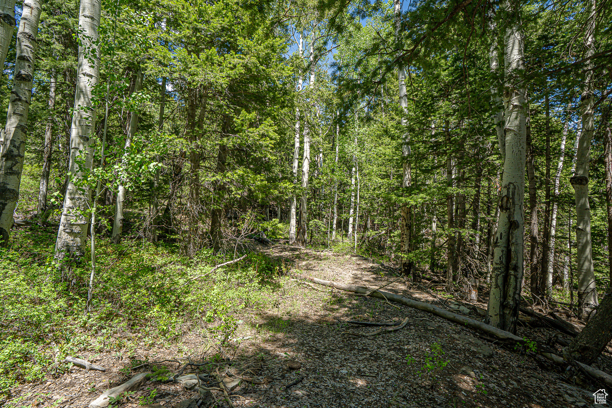 Land, Duchesne, Utah image 38