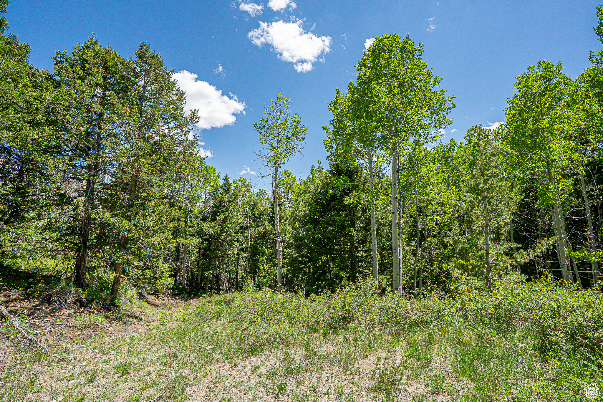 Land, Duchesne, Utah image 32