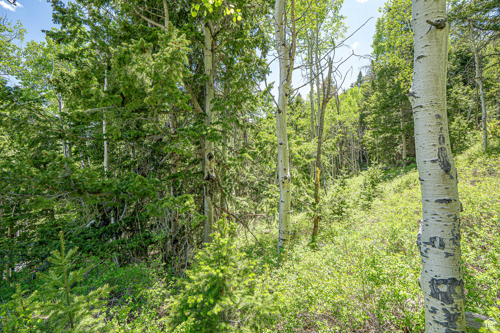 Land, Duchesne, Utah image 48